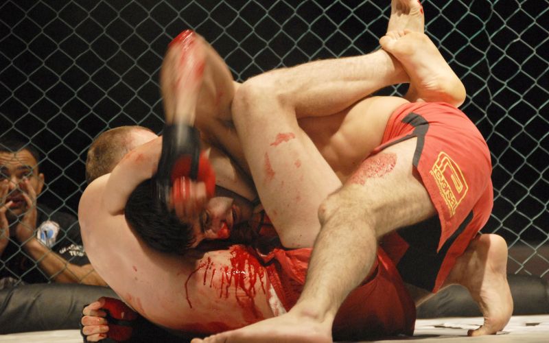 MMA.jpg