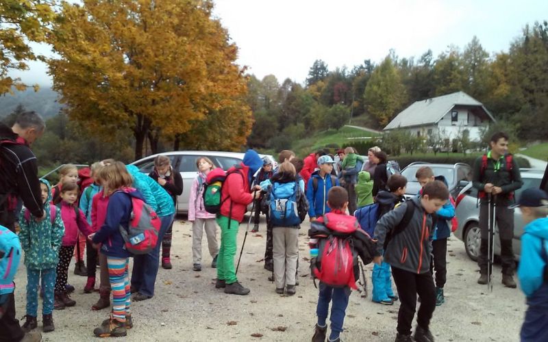 mo_kostanjev_piknik_2015_01.jpg