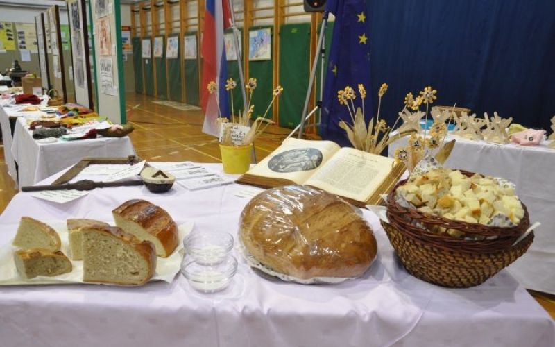 dolenjske_sege___01.jpg
