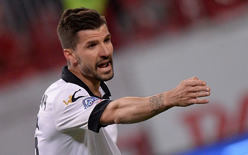 stevanovic profi.jpg