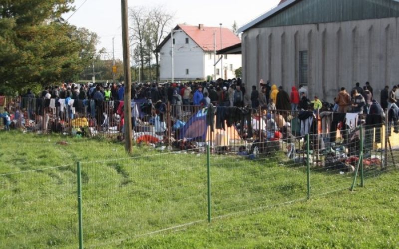 dobova_male006.jpg