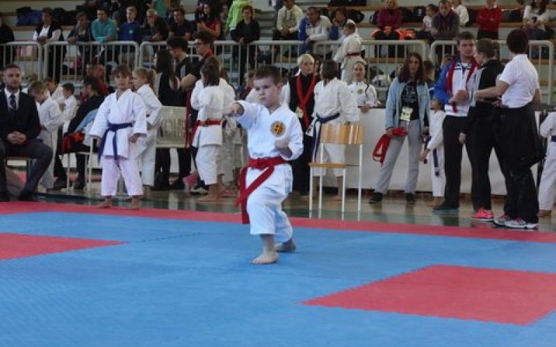 _karate__1_.jpg