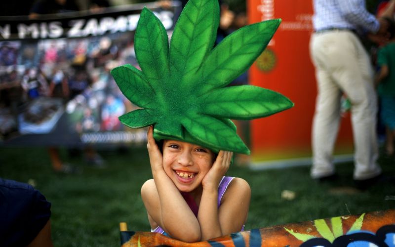 konoplja, legalizacija.jpg