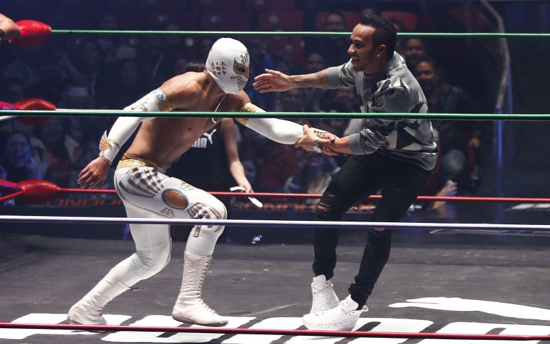 Lewis Hamilton re.jpg