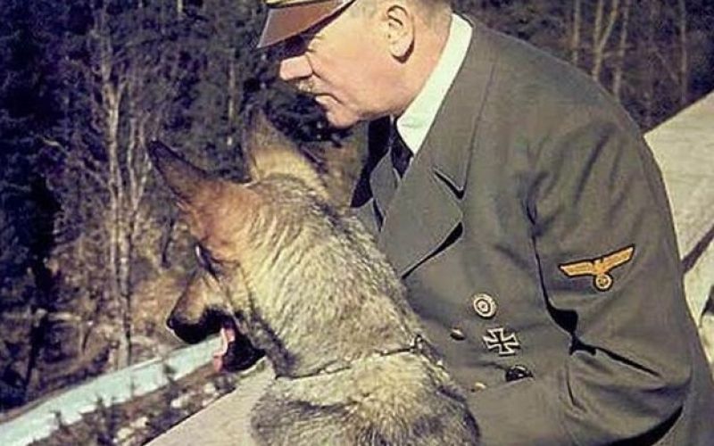 Adolf Hitler.jpg