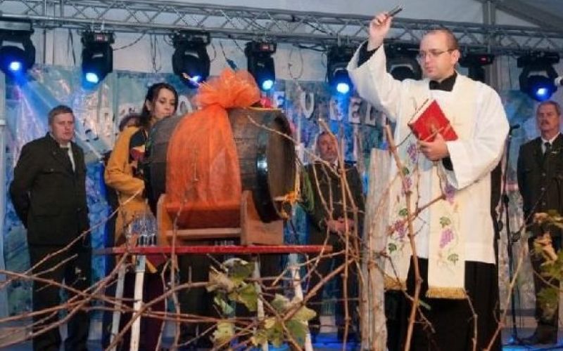 020_martinovanje_2012___rnomelj.jpg