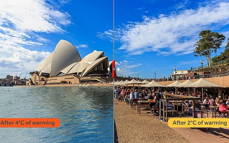 sydney.jpg