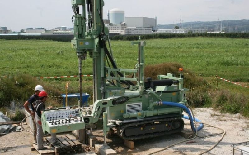 vrbina_arao.jpg