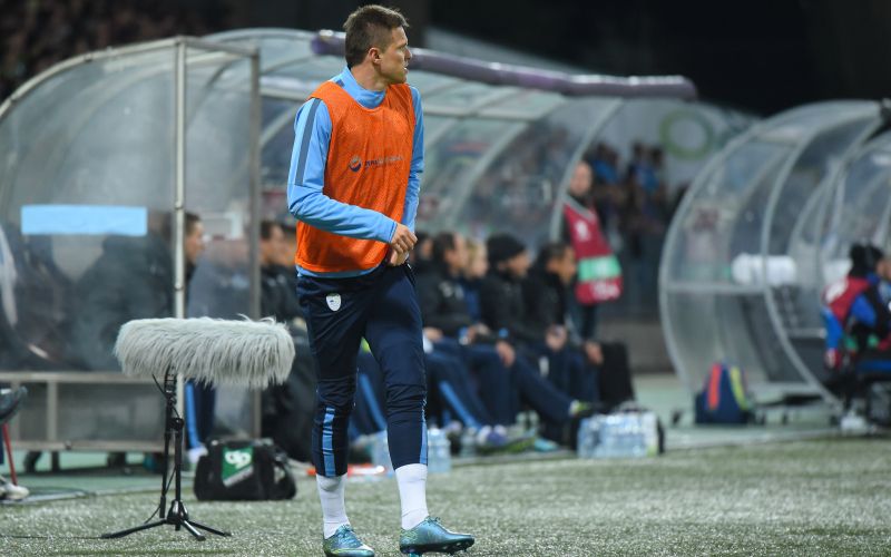 Josip Iličić Slovenija Ukrajina Ljudski vrt