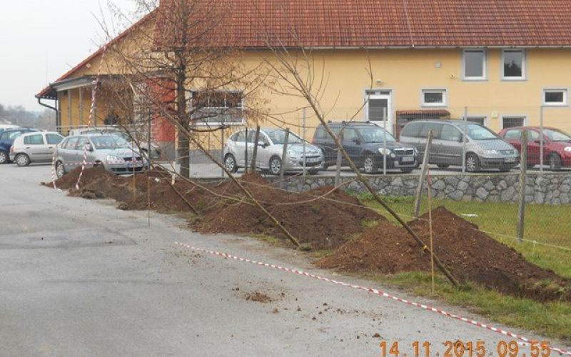 javor__1_.jpg