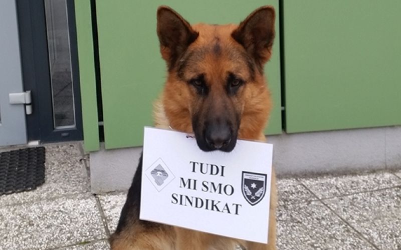 policaji1.jpg