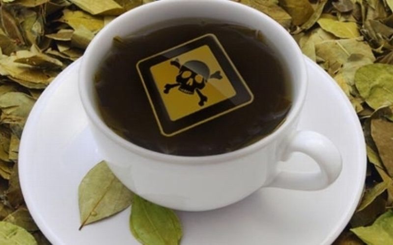 čaj in pesticidi