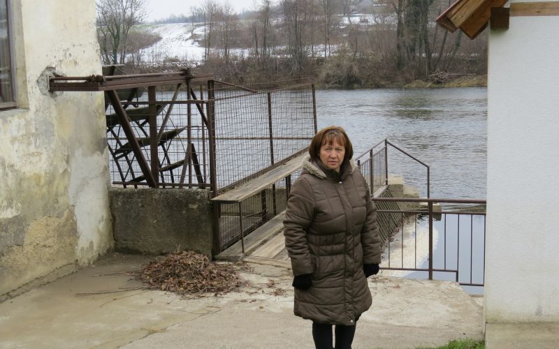Tončka Benetič, žica