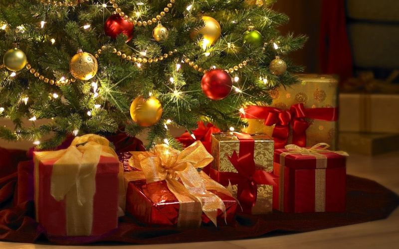 under-the-christmas-tree.jpg
