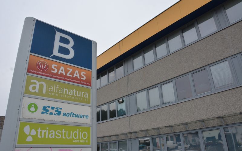 sazas, trzin2.jpg