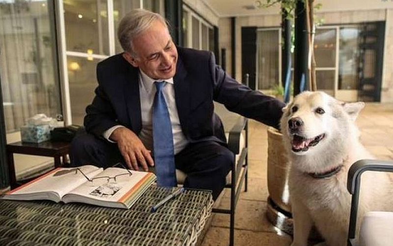 netanyahu, kaia.jpg