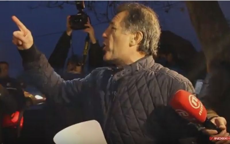 mamic.png