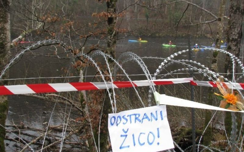 zica_mls.jpg