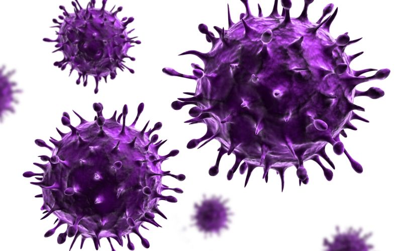 Flu-Virus