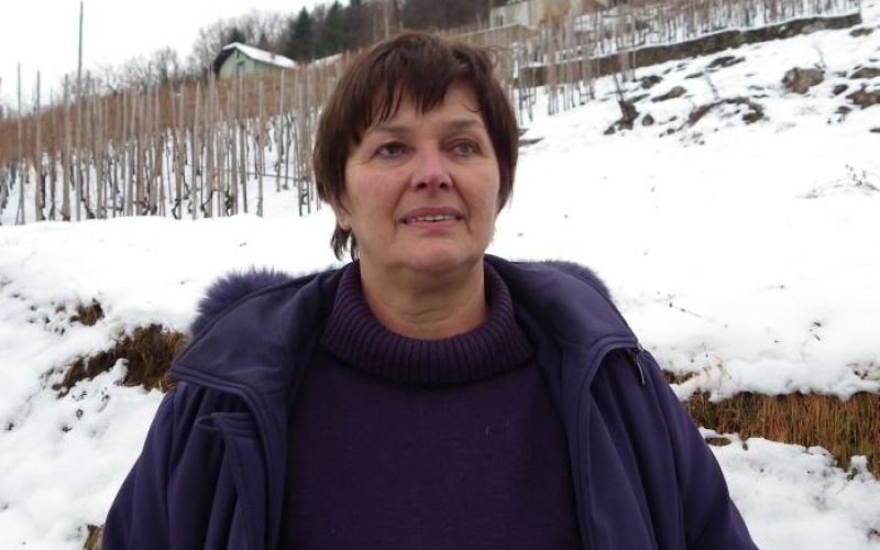 vinogradniski_pohod_lisec_001.jpg