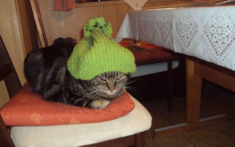peter_prevc__kapa_002.jpg