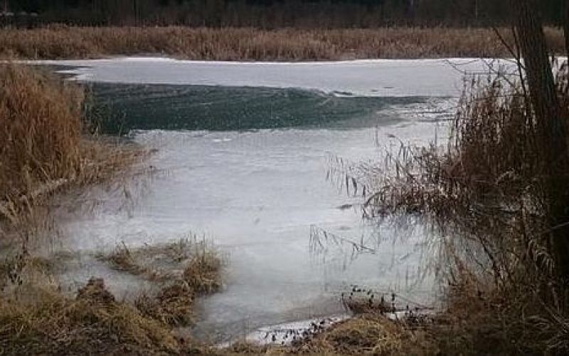 zaledenela drava.jpg