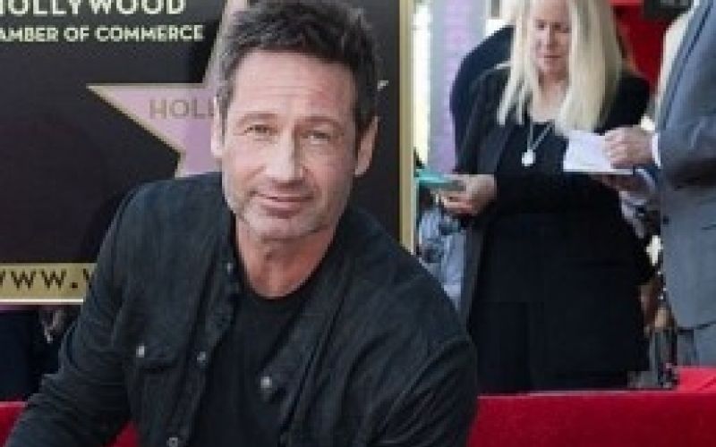David Duchovny - foto 1