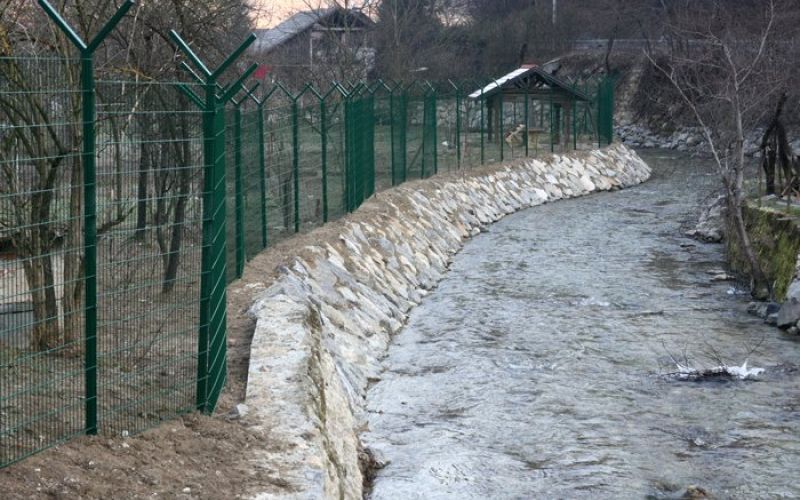 orgaja.jpg