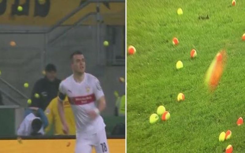 borussia.jpg
