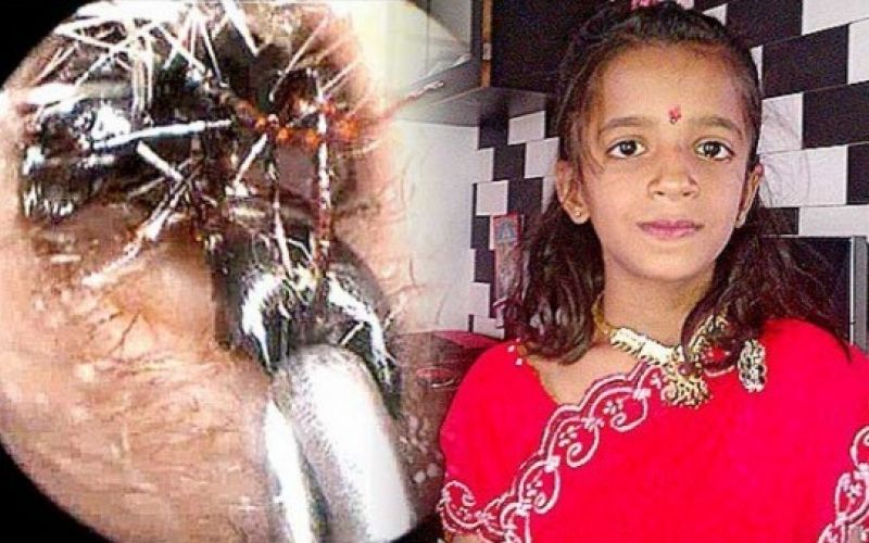 Shreya Darji.jpg