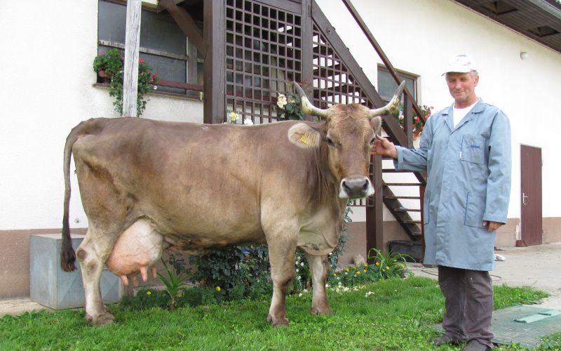 Janez in Lepna