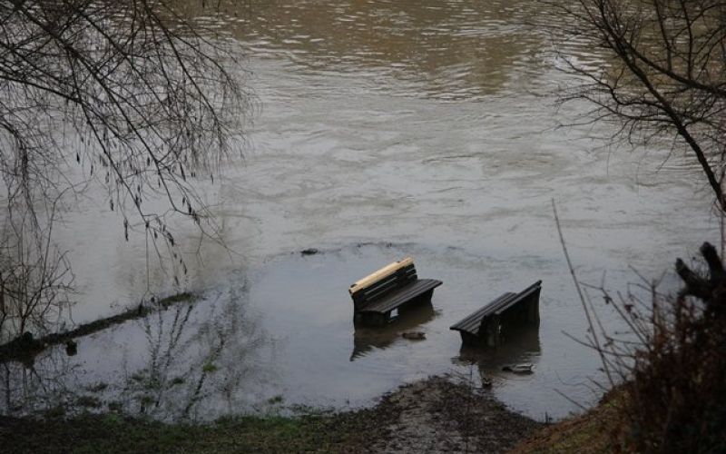 n_arasla_krka01.jpg