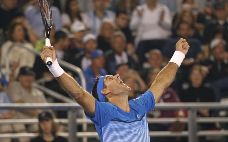 juan martin del potro.jpg