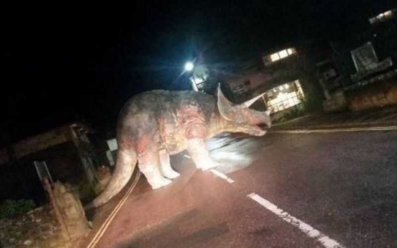 Dinozaver, triceratops.jpg