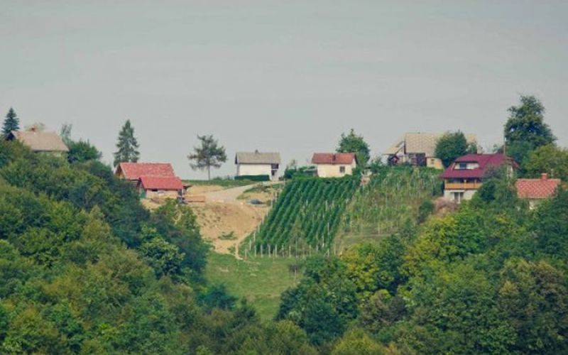 zidanice_lapego.jpg