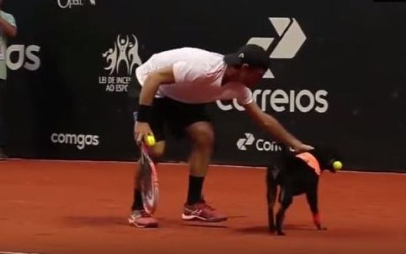 tenis.jpg