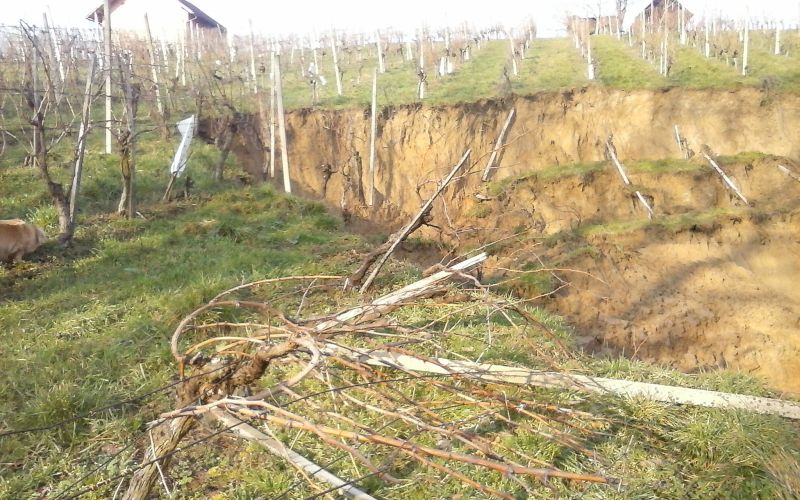 Udori zemlje na parceli Vlačičevih v Vičancih