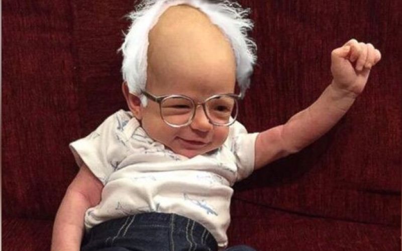 bernie baby