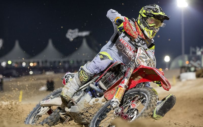 166-29-gajser1 bz.JPG