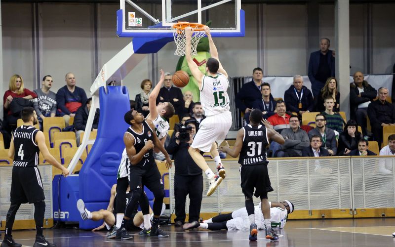 lesic.JPG