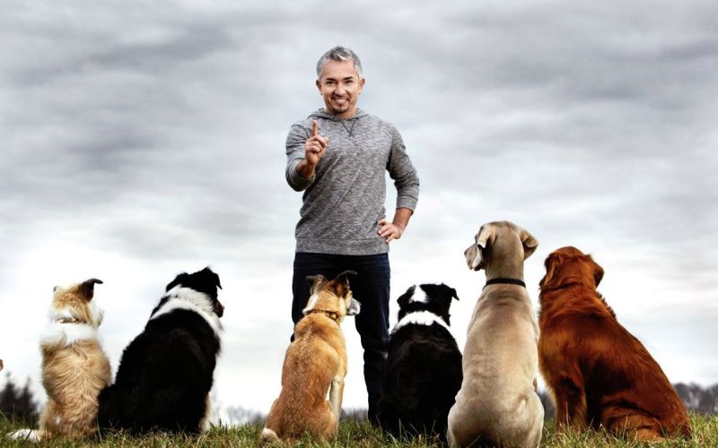 Cesar Milan.jpg