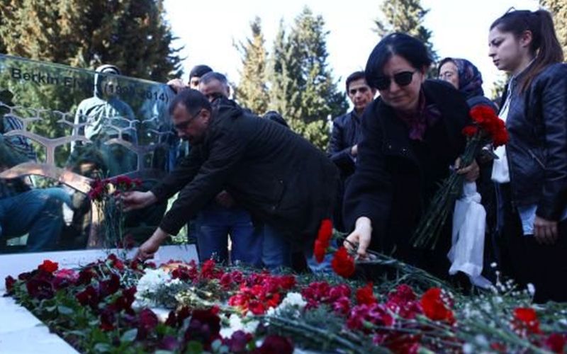 turčija, berkin elvan.jpg
