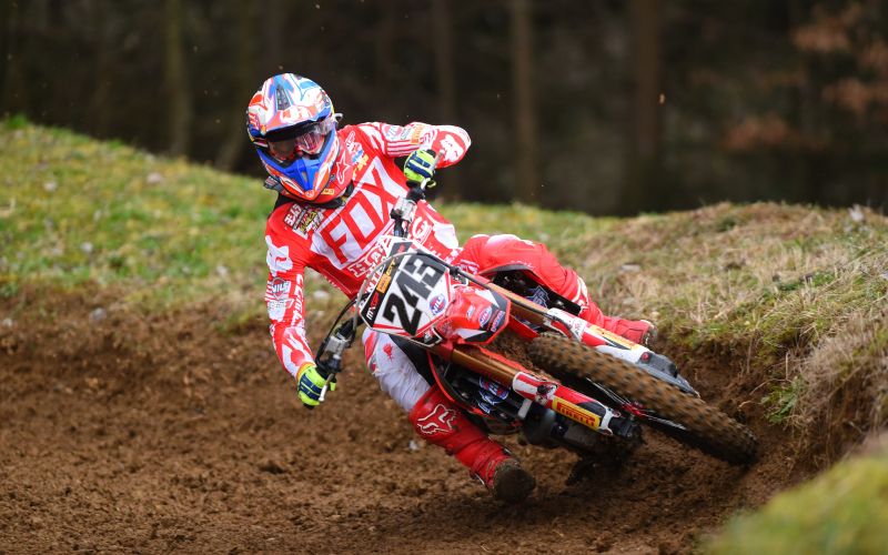 gajser1 nm.jpg