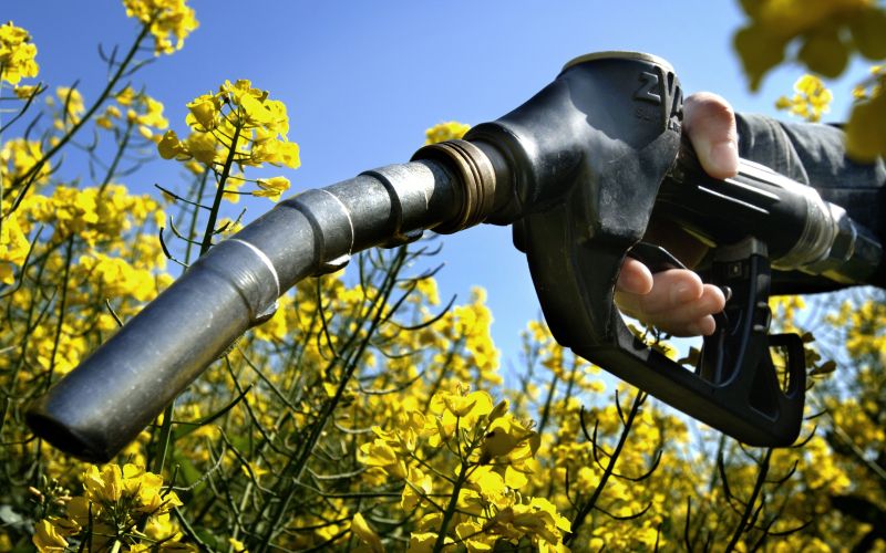 biofuel