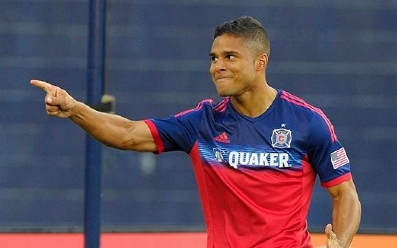 amarikwa.jpg