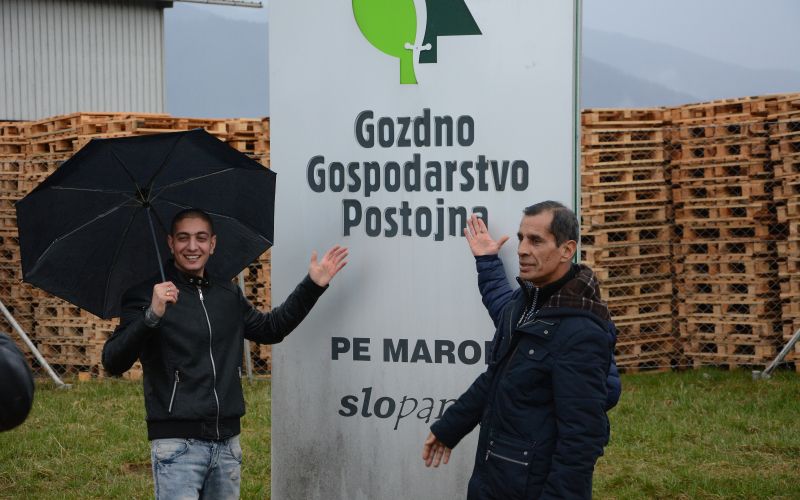Migrantski delavci