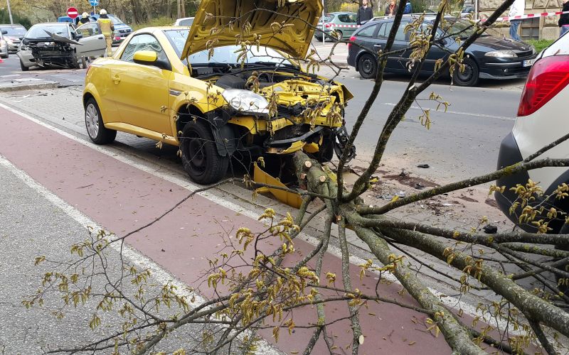 prometna nesreča, Maribor, drevo.jpg