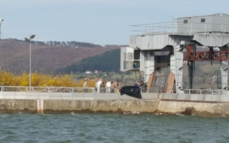 zlatoličje2.jpg