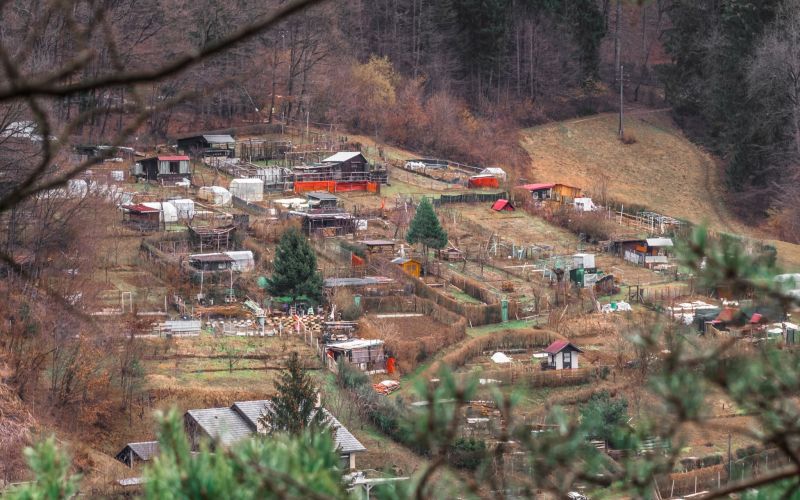 vrtički trbovlje.jpg