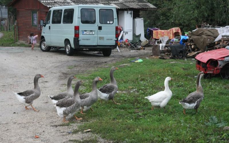 brezje_zabjak_20.jpg